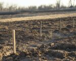 A éviter quand on peut couler une dalle béton directement sur la terre