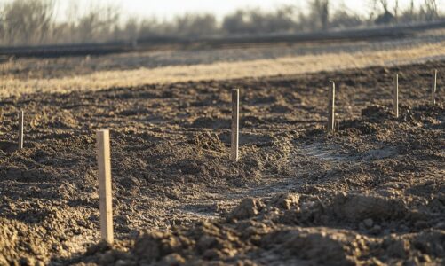 A éviter quand on peut couler une dalle béton directement sur la terre